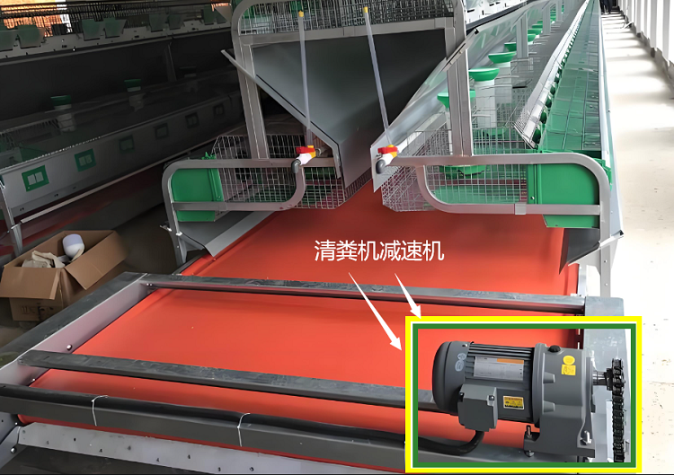 清粪机减速电机.png