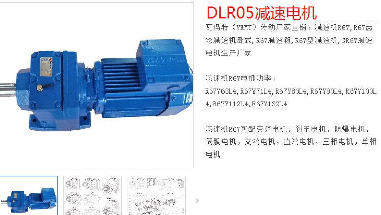 减速电机DLR05-113-DM112M-4-E-M1型号.png